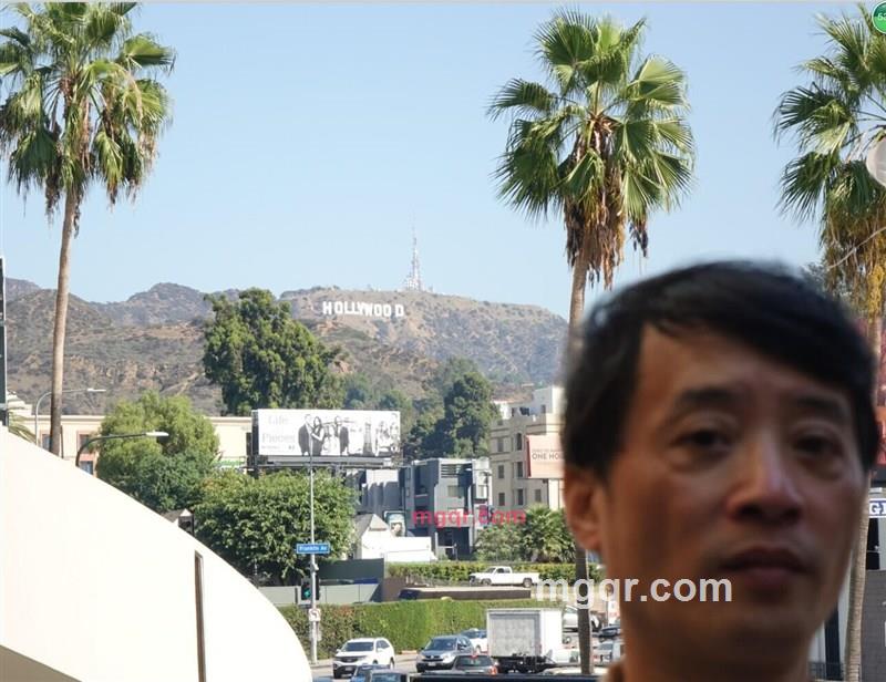 股市发令的第5张照片