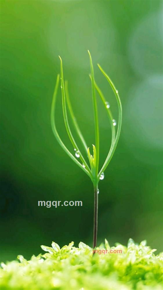 🌞太阳的第1张照片