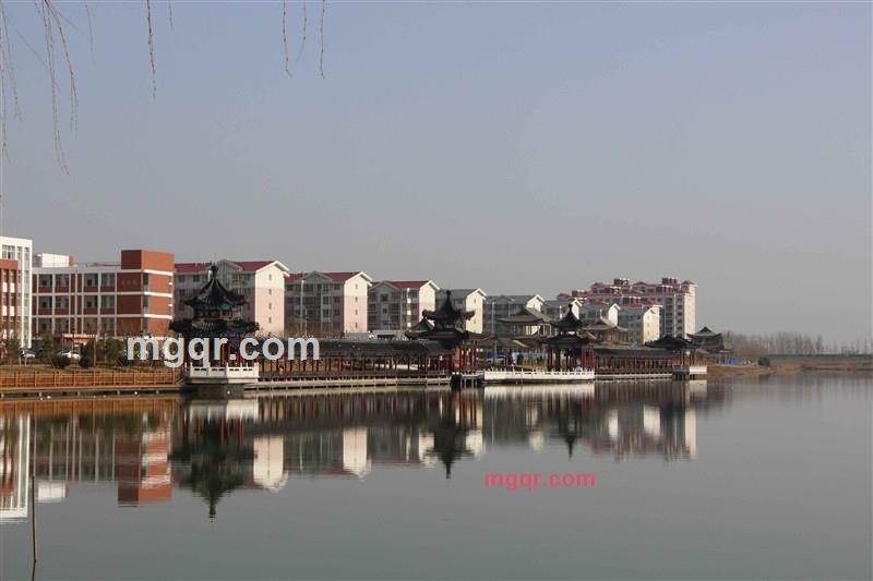 电磁铁钉的第1张照片