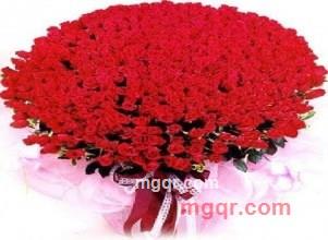 午后！@阳光的第4张照片