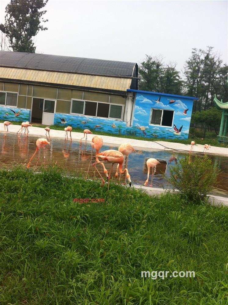 langmanwo的第3张照片