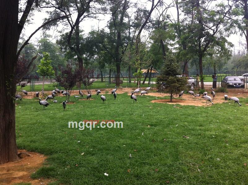 langmanwo的第1张照片