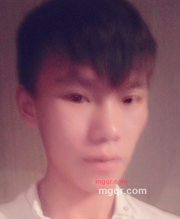 寂寞的鸟的第1张照片