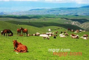 火辣棒哥的第4张照片