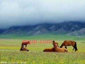 火辣棒哥的第6张照片