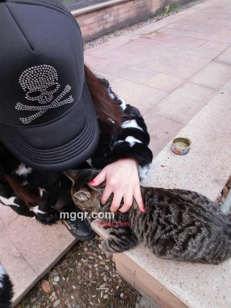 安静的眼泪的第5张照片