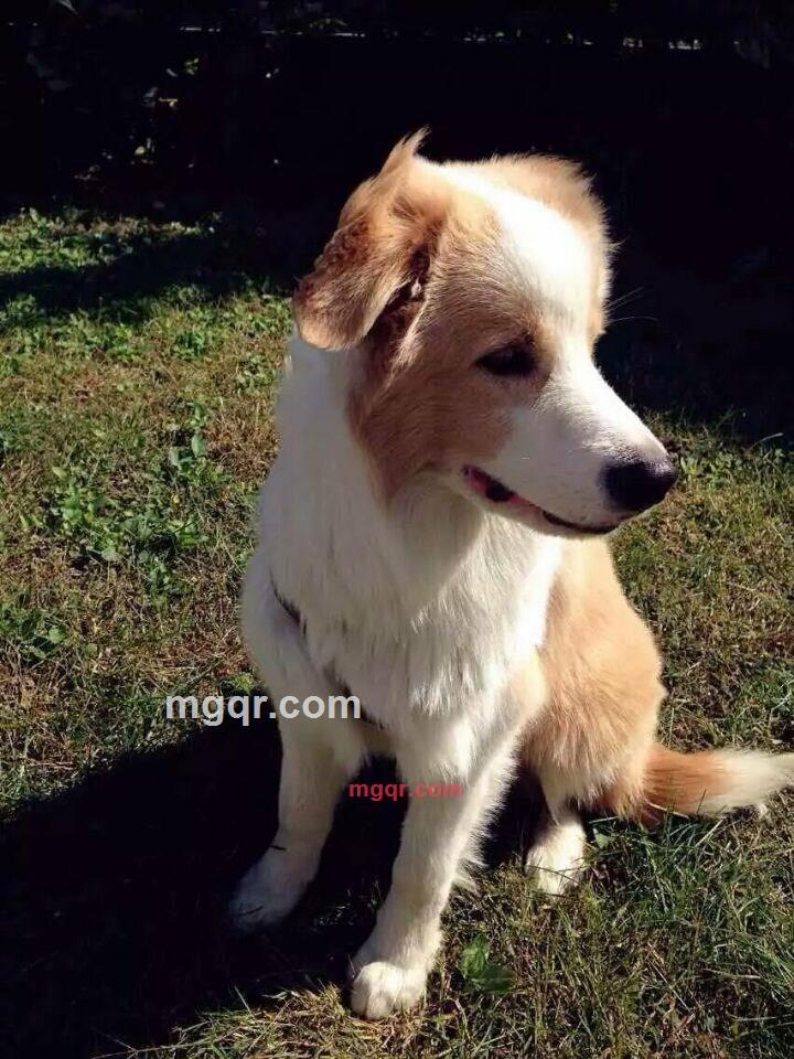 guowang101的第5张照片