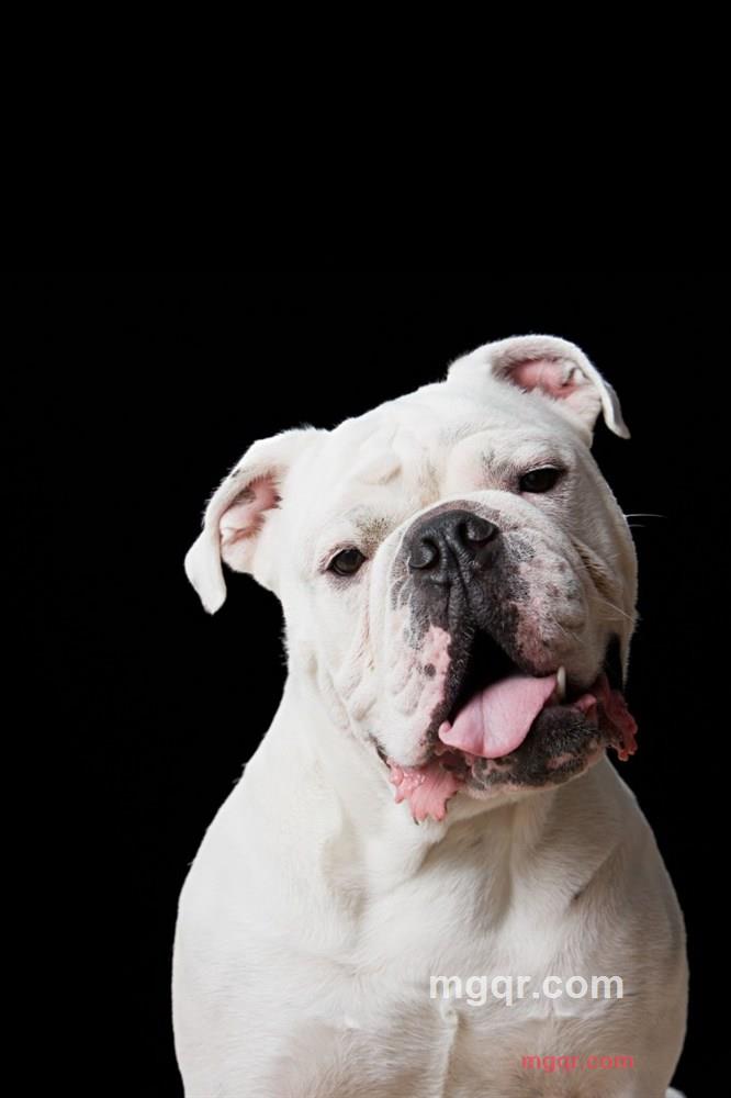 tbb88的第1张照片