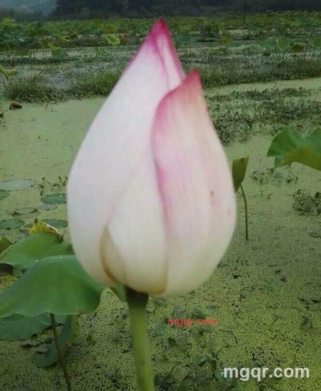 小雨?的第2张照片