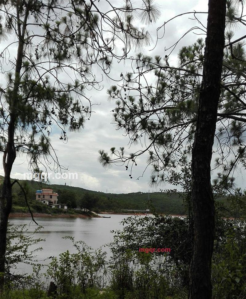 寻寻觅觅 慢慢等待你的第9张照片