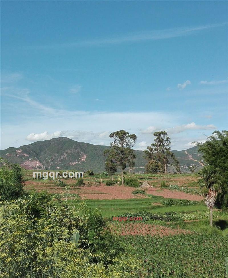 寻寻觅觅 慢慢等待你的第7张照片