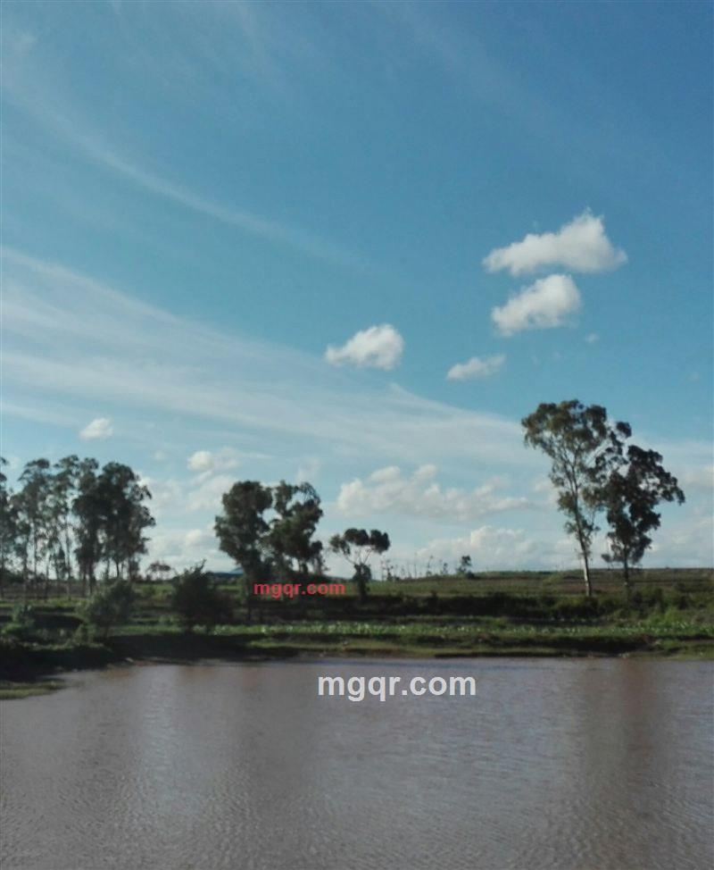 寻寻觅觅 慢慢等待你的第8张照片