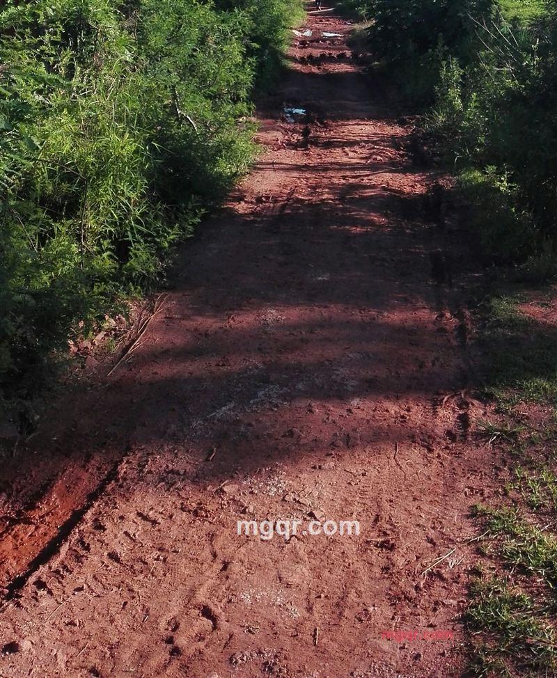 寻寻觅觅 慢慢等待你的第6张照片