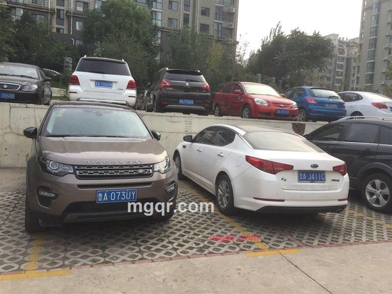 醉夜迷幻的第2张照片