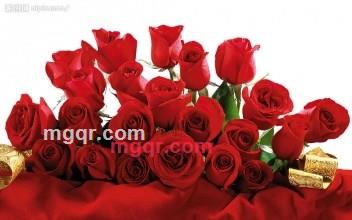 午后！@阳光的第2张照片