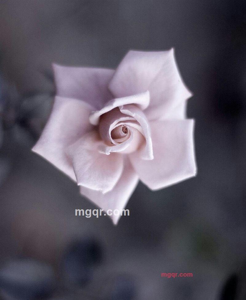 。。。。的第2张照片