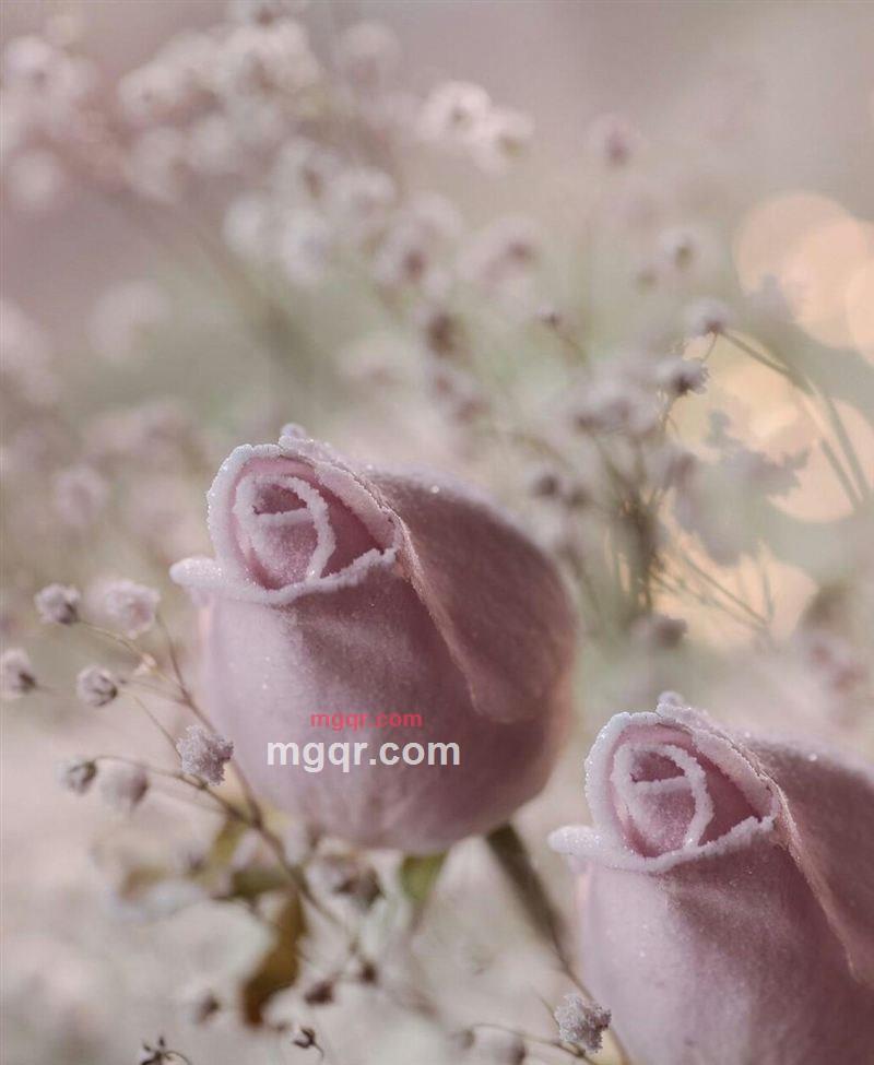 。。。。的第1张照片