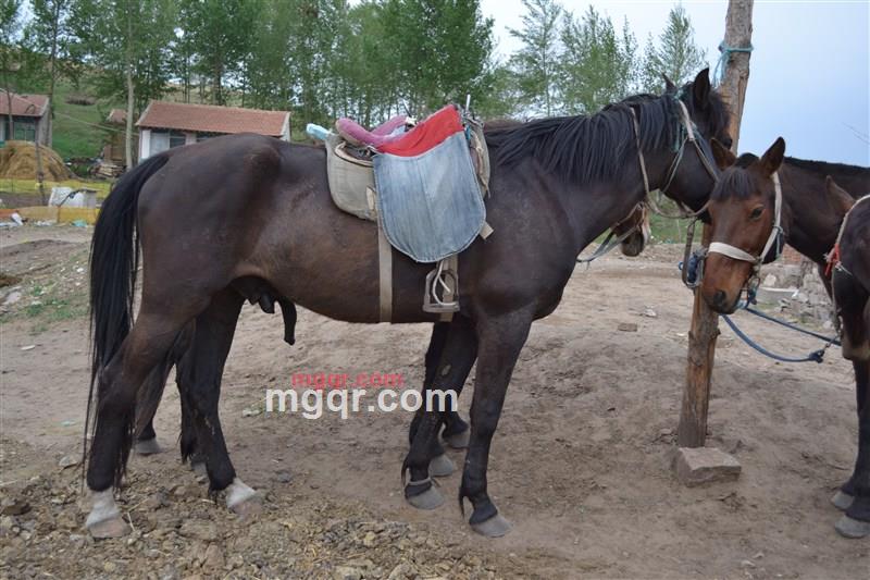 红酒坊的第6张照片