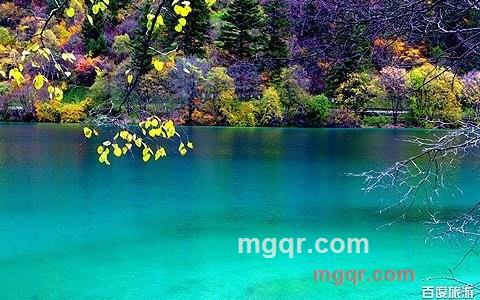 亲米老鼠的第1张照片