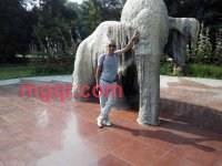 神岗小飞A的第1张照片