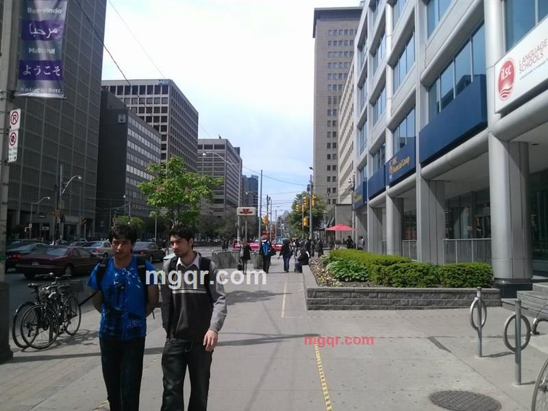 som_elf的第5张照片