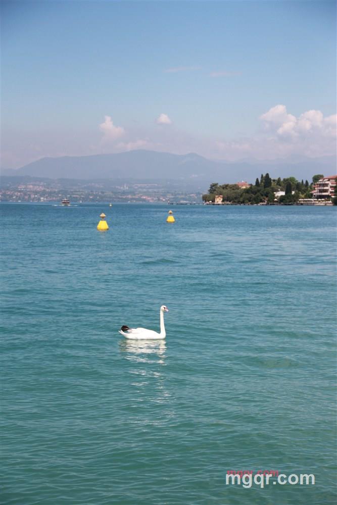 lawfeng的第5张照片