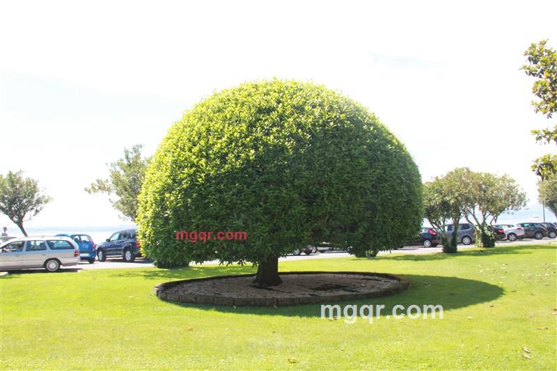 lawfeng的第3张照片