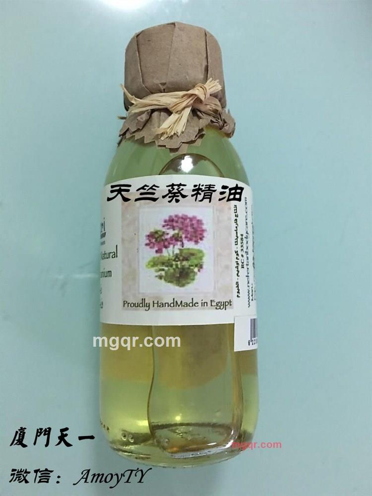 飄零的楓的第2张照片