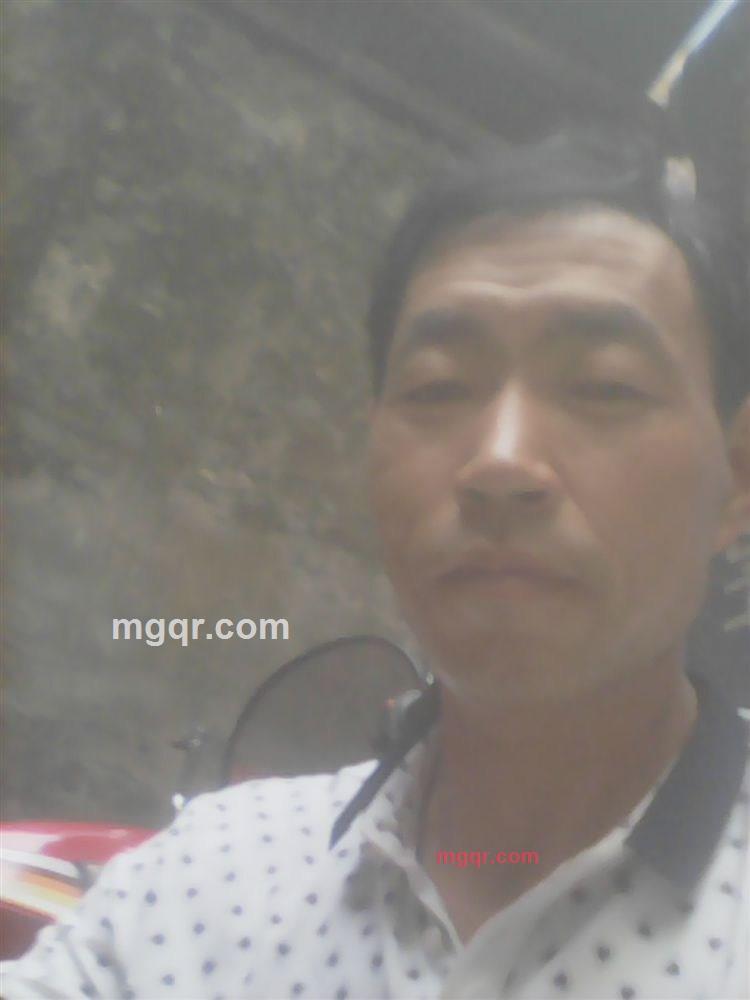 灰狼的第3张照片