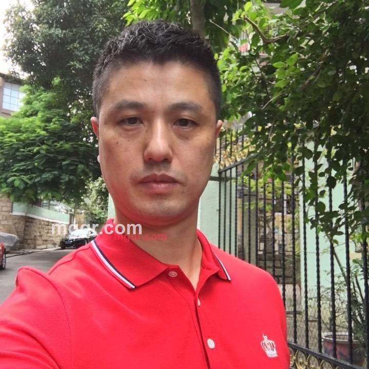 声星的第2张照片