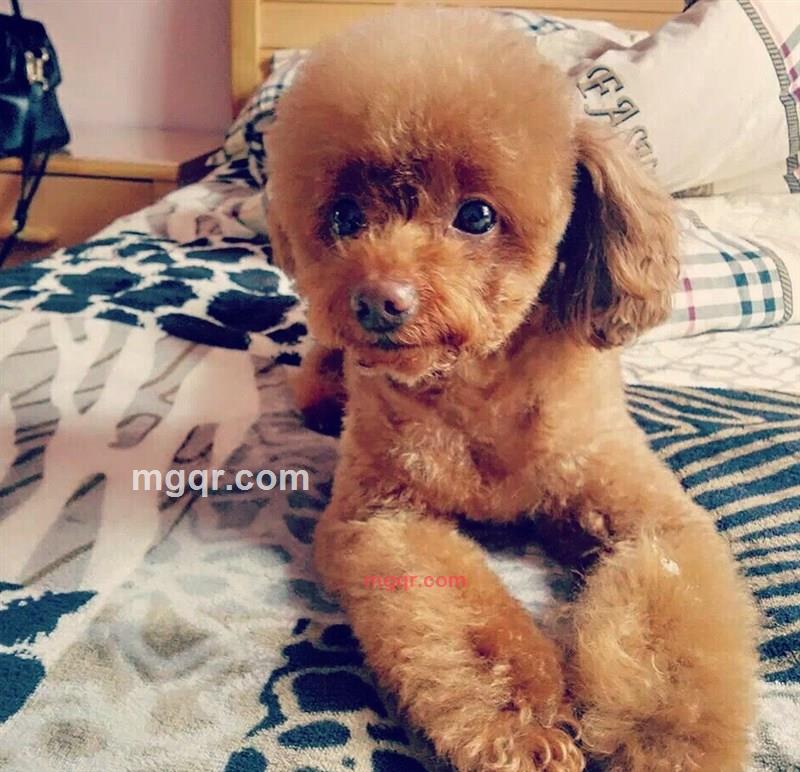 心若琉璃的第1张照片