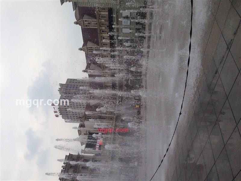 旺月的第1张照片