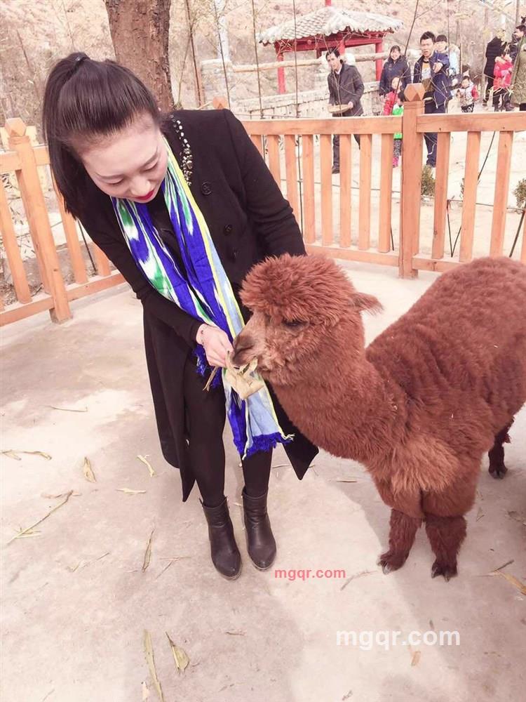 曾经的蜡笔没有小新的第1张照片