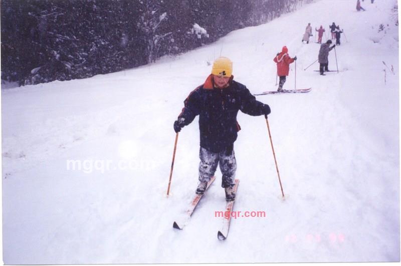 som_elf的第2张照片