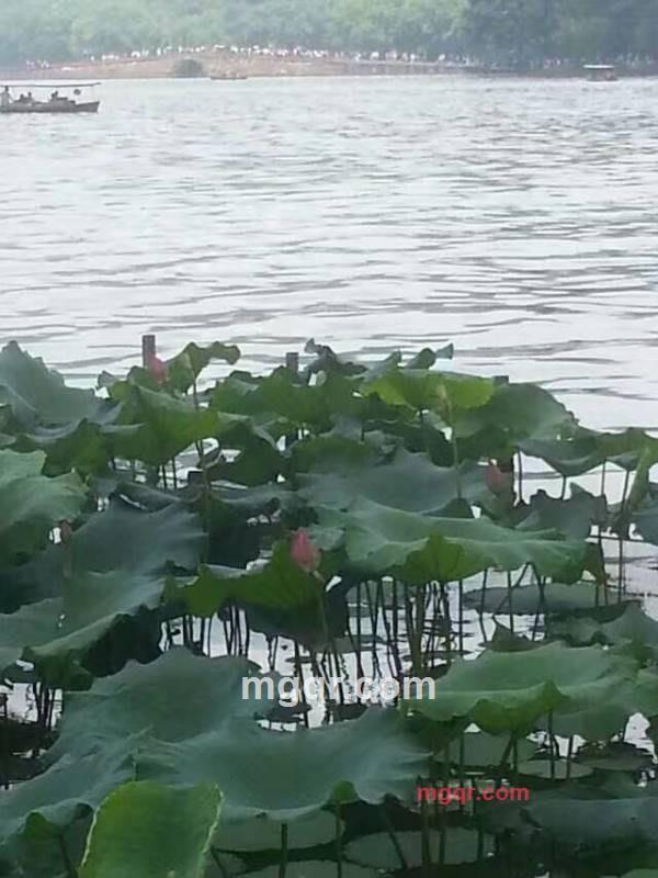 为爱等待的第3张照片