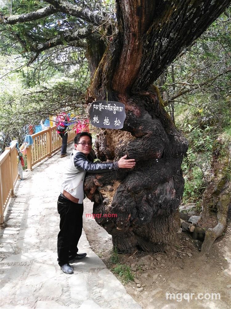 小氏糊涂的第2张照片