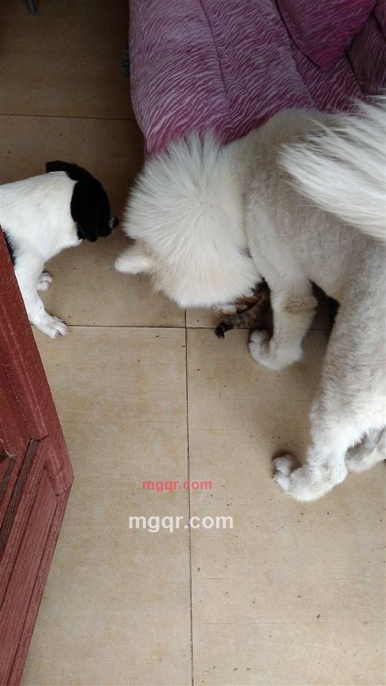 嘻嘻注意的第2张照片