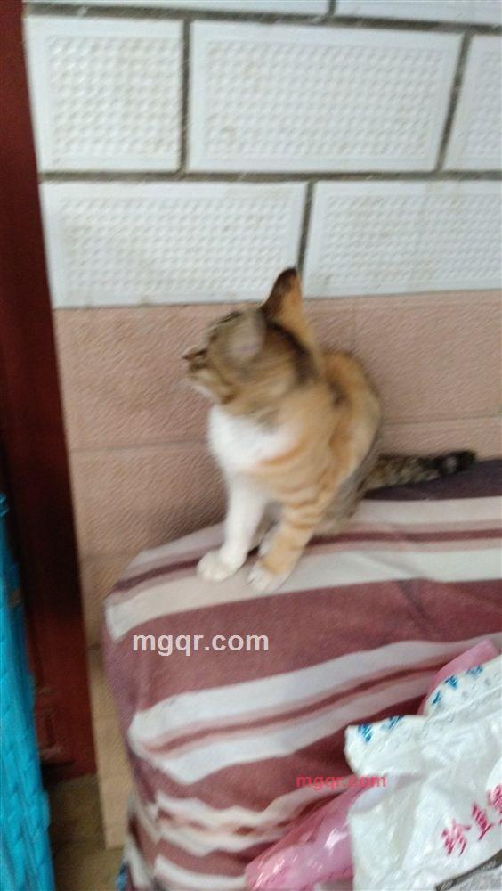 嘻嘻注意的第3张照片