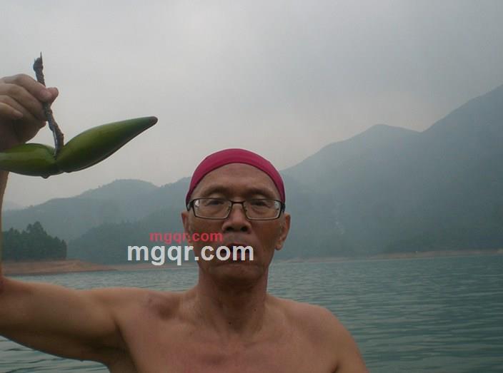 可以通过了的第1张照片