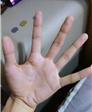 狮子的第1张照片