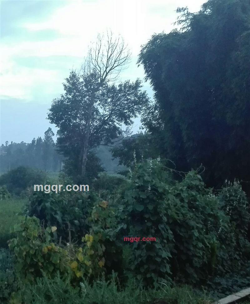 寻寻觅觅 慢慢等待你的第5张照片