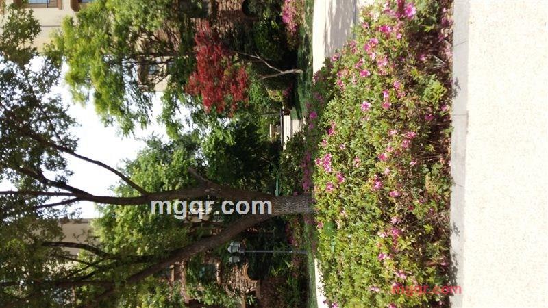 JAMES春夏与秋冬的第1张照片