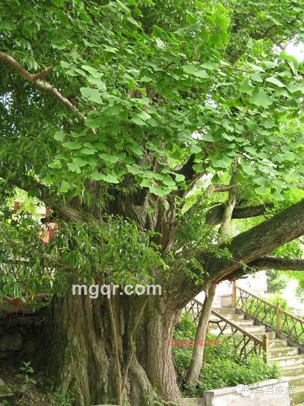 F216和你一起数星星的第3张照片