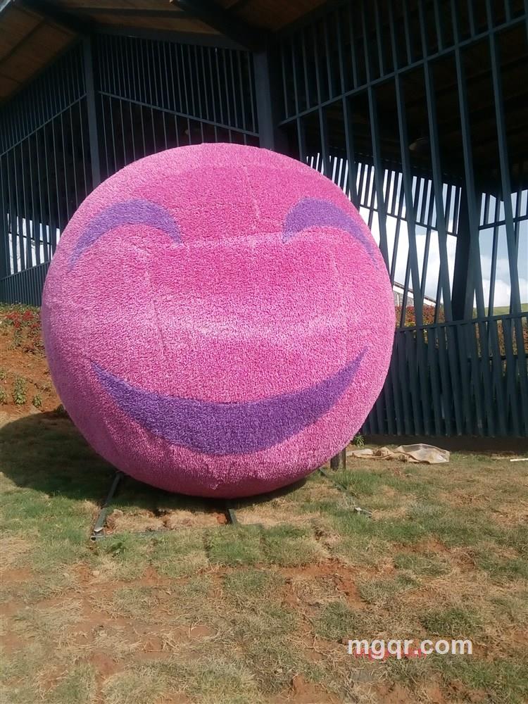 F216和你一起数星星的第2张照片