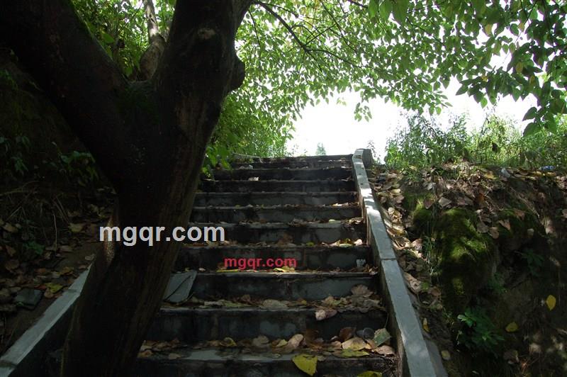 F216和你一起数星星的第1张照片