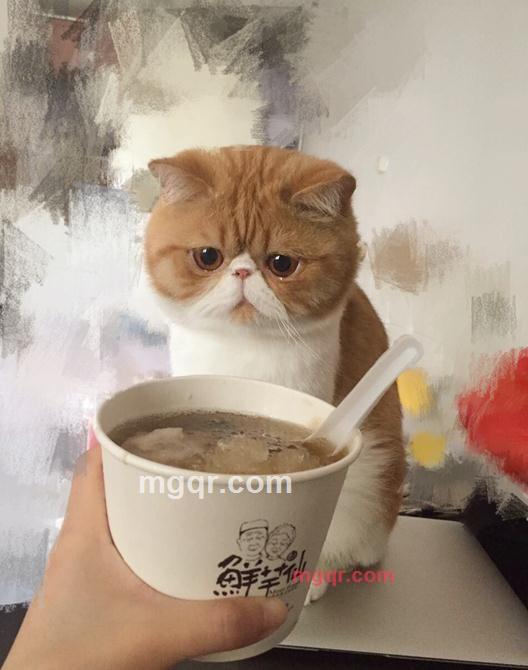 为爱等待的第2张照片