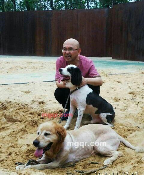 jameshou的第2张照片
