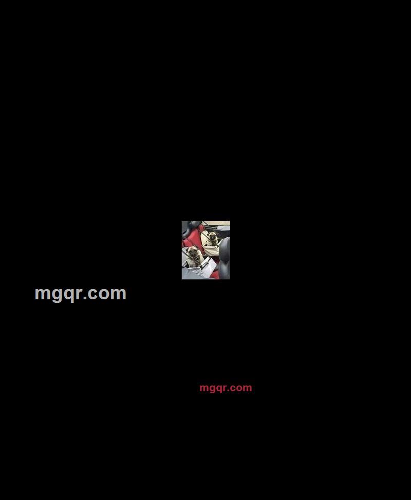 相遇的第1张照片