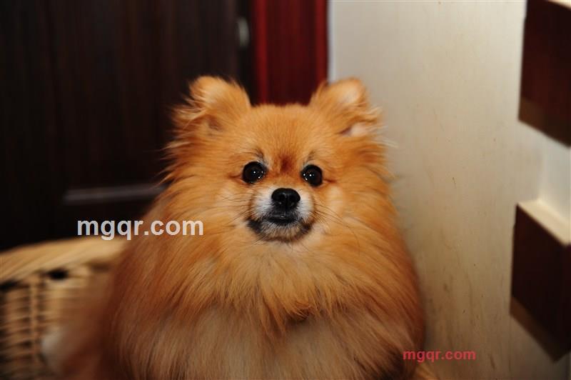 长久大熊的第1张照片