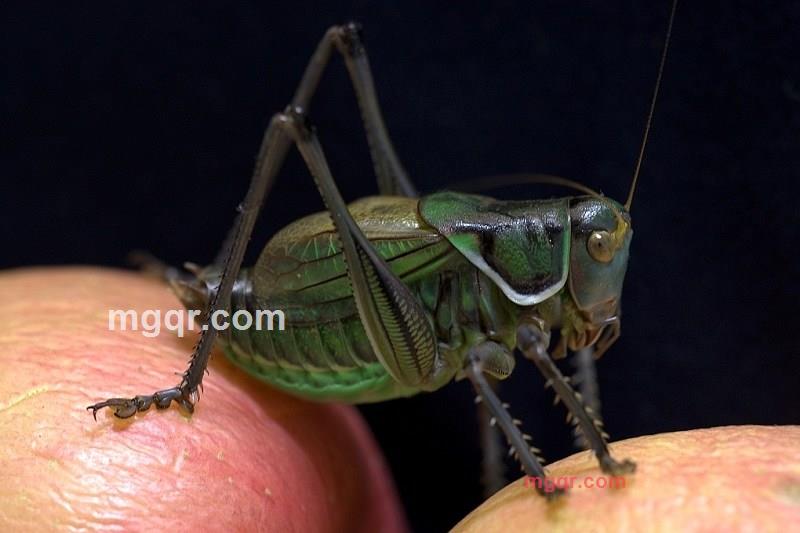 长久大熊的第4张照片